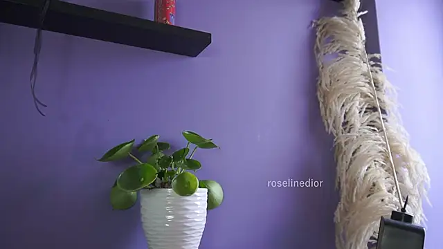 Snapshot of roselinedior chatting on 05/20/26, 04:24 roselinedior online show from 05/20/26, 04:24