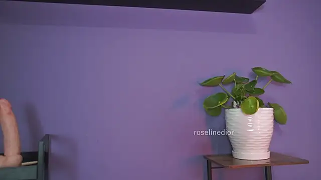 Snapshot of roselinedior chatting on 05/26/26, 01:29 roselinedior online show from 05/26/26, 01:29