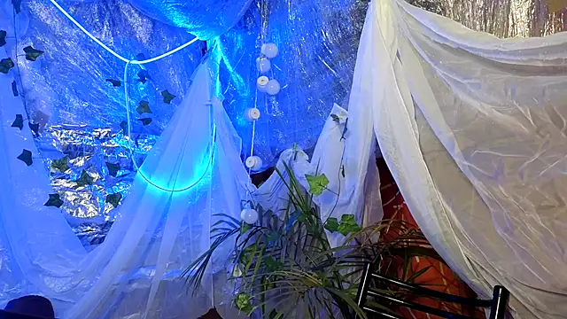 Jony Marta online show from 10/16/25, 02:51