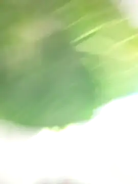 Wanda and cosmo  online show from 03/07/25, 08:55