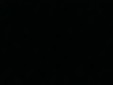 Tigerhill2023 online show from 04/25/26, 07:33