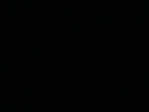 Tigerhill2023 online show from 04/25/26, 01:41