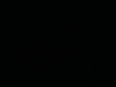 Tigerhill2023 online show from 04/26/26, 01:47