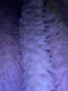 TrenaAnne online show from 03/21/25, 04:28