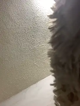 Snapshot of talitasilvx chatting on 03/18/25, 11:09 talitasilvx online show from 03/18/25, 11:09