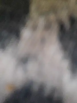 Snapshot of marcialoira chatting on 02/05/25, 10:12 marcialoira online show from 02/05/25, 10:12