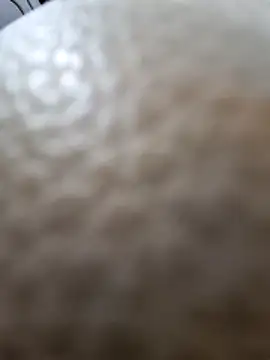 Snapshot of Kamarasa69 chatting on 12/18/25, 08:53 Kamarasa69 online show from 12/18/25, 08:53