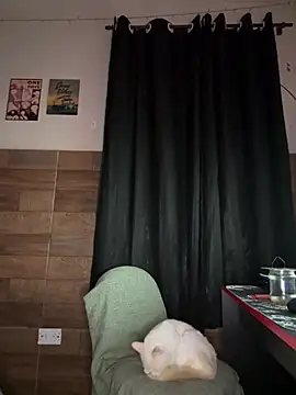 Snapshot of izumikarol chatting on 03/11/26, 03:12 izumikarol online show from 03/11/26, 03:12