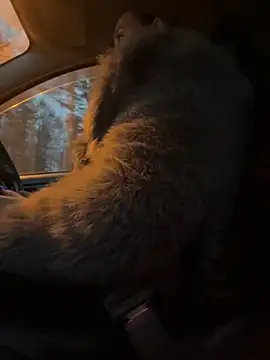 Snapshot of StasyWood chatting on 11/27/25, 02:02 StasyWood online show from 11/27/25, 02:02