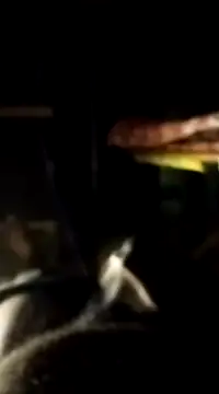 Snapshot of findmemylove chatting on 01/07/25, 07:06 findmemylove online show from 01/07/25, 07:06