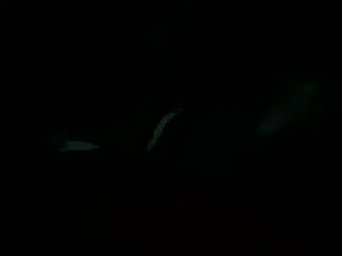 Billythekidd1978 online show from 03/22/25, 05:20