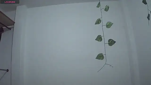 Snapshot of stephybrowm7 chatting on 10/28/25, 05:37 stephybrowm7 online show from 10/28/25, 05:37