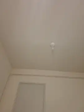 wedge75 online show from 05/13/26, 05:21