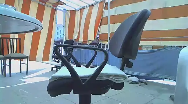 zormen355 online show from 03/16/25, 09:27