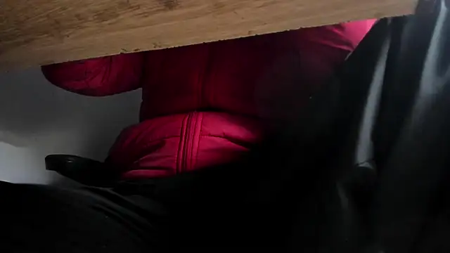 s sven03 online show from 01/05/25, 05:30