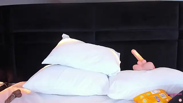 Snapshot of MiaStor chatting on 01/29/25, 08:46 MiaStor online show from 01/29/25, 08:46