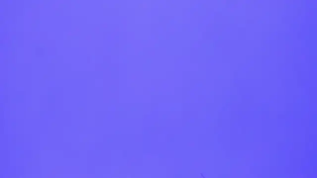 brenda sofia2 online show from 11/21/25, 03:11