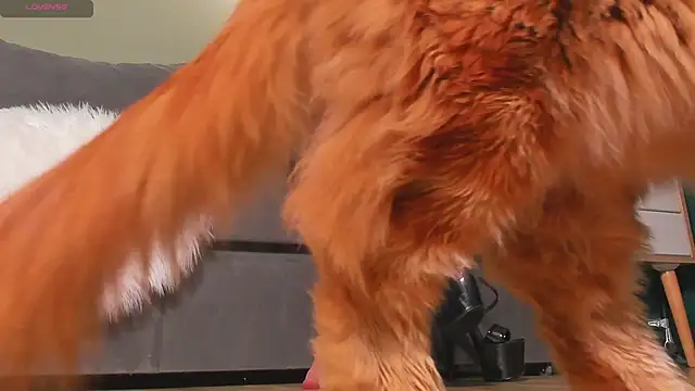 Snapshot of mistresslecter chatting on 03/22/26, 03:54 mistresslecter online show from 03/22/26, 03:54