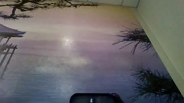 AliceTailor online show from 02/02/26, 07:56