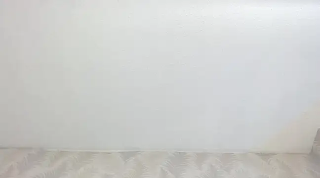 Snapshot of KasandraPhillips chatting on 02/13/25, 10:33 KasandraPhillips online show from 02/13/25, 10:33