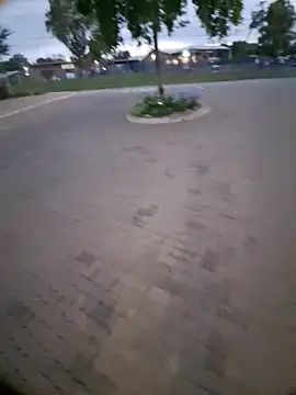 Petrossa online show from 01/06/26, 03:10