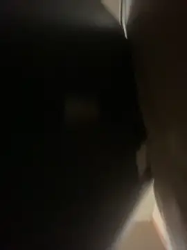 WilldoPita online show from 09/13/25, 08:52