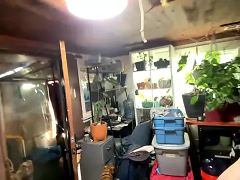 Snapshot of trash4cash chatting on 01/13/26, 10:04 trash4cash online show from 01/13/26, 10:04