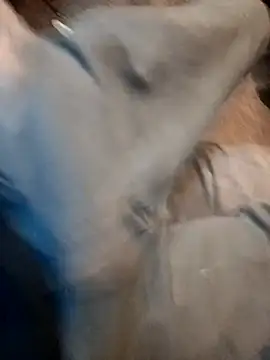 ySqmbVanbe online show from 12/17/25, 09:43