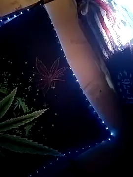 ySqmbVanbe online show from 01/31/26, 09:24