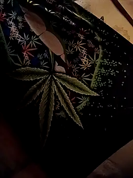 ySqmbVanbe online show from 02/04/26, 04:18