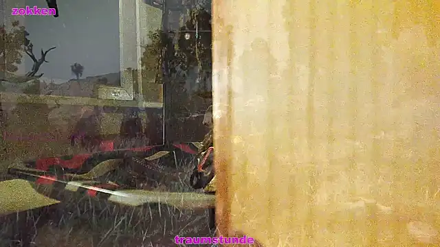 BongChannel online show from 01/21/25, 06:43