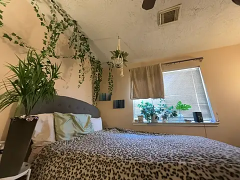 Snapshot of magicalc00ch chatting on 02/22/26, 05:33 magicalc00ch online show from 02/22/26, 05:33