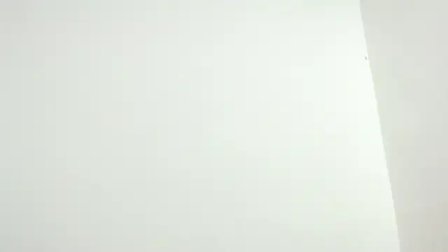 isaaclatino online show from 11/27/25, 04:03