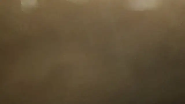 Alphapimmelchen online show from 02/21/25, 03:54