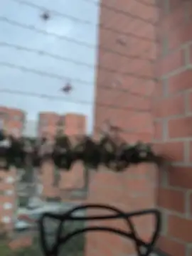 ValerieHilton online show from 12/27/24, 10:59