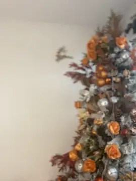 ValerieHilton online show from 01/03/25, 08:54