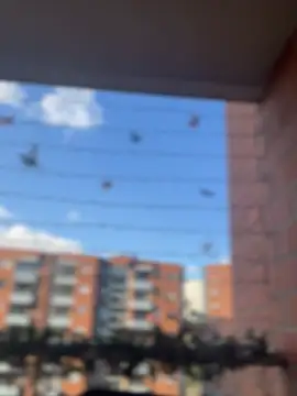 ValerieHilton online show from 01/18/25, 09:45