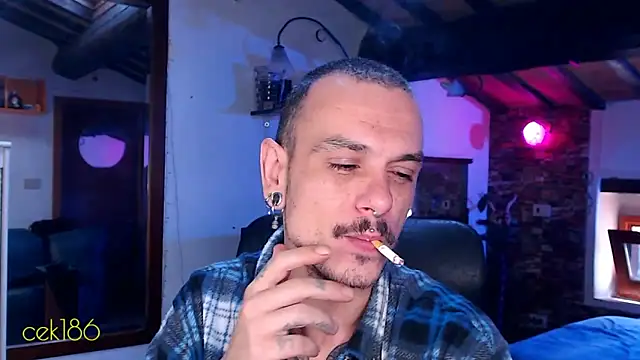 cek 186 online show from 11/08/25, 08:47