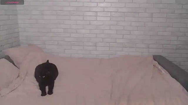 Snapshot of Fuckyoursecretary69 chatting on 12/09/24, 12:19 Fuckyoursecretary69 online show from 12/09/24, 12:19