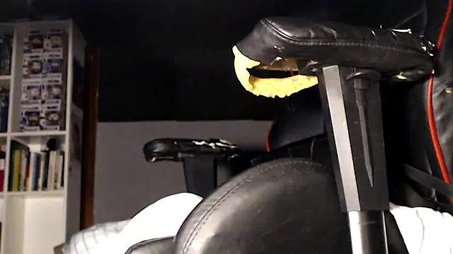 LapijARG7 online show from 11/21/25, 03:11