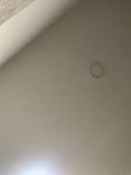 Snapshot of Zarah_Blare chatting on 01/14/25, 11:27 Zarah Blare online show from 01/14/25, 11:27