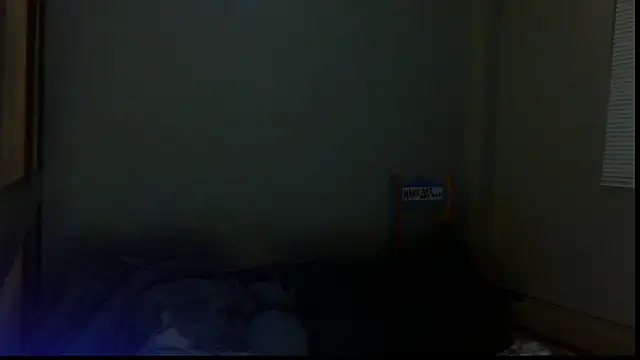 SexWorkerX online show from 10/15/25, 03:28