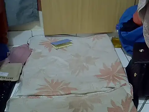 prettyviel online show from 10/27/25, 07:23