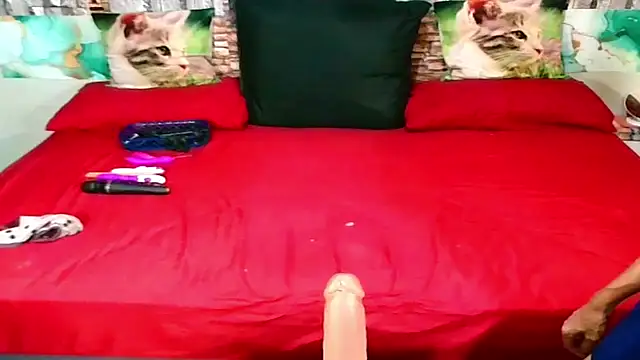 Indian Blaze00 online show from 01/31/26, 07:11