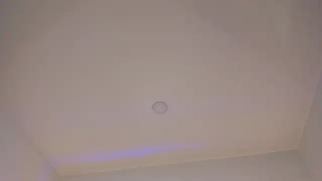 Mara Betancurt online show from 02/11/25, 11:44