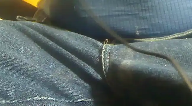 markluvskitty online show from 02/10/25, 04:14