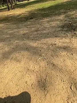 Cum on your tityyy online show from 01/13/26, 09:03