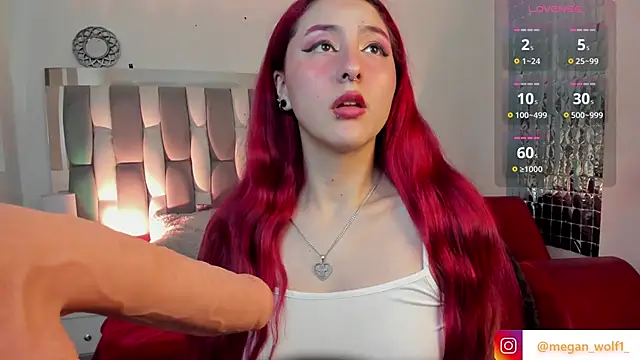 Snapshot of Megan_wolf1_ chatting on 12/17/24, 04:56 Megan wolf1  online show from 12/17/24, 04:56