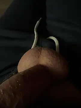 rambetto21 online show from 12/17/25, 07:53