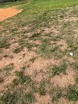 Snapshot of Black-mamba-madingo chatting on 02/14/26, 08:55 Black-mamba-madingo online show from 02/14/26, 08:55